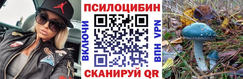 Галлюциногенные грибы прущие грибы  Купить закладки  Енисейск 